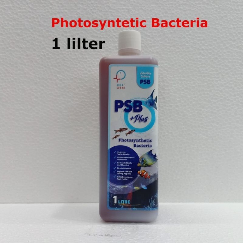 Aqua Guard PSB Plus - สารสังเคราะห์แสง Bacterial 1L