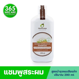 Tropicana Coconut Intense Repair Shampoo 290ml. แชมพู สูตรฟื้นบำรุงผมแห้งเสีย 365wecare