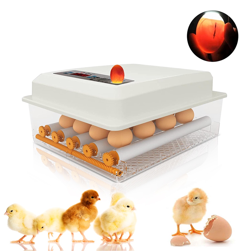 All About Pet ตู้ฟักไข่ไก่ ตู้ฟักไข่ เครื่องฟักไข่ ตู้ฟักไข่อัตโนมัติ เครื่องฟักไข่อัตโนมัติ อุปกรณ์ตู้ฟักไข่