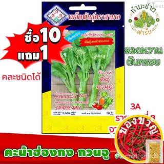 เมล็ดอวบอ้วน100%[10แถม1] 3A เมล็ดพันธุ์ คะน้าฮ่องกง กวนอู 2,050 เมล็ด ยอดหวาน ต้นกรอบ เมล็ดพันธุ์สามเอ Chinese KALE เมล็