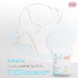เอเวอร์กรีน สำลีก้านกระดาษเอเวอร์กรีน 100 ก้านถุง / Evergreen Cotton Bud Evergreen Paper Stick 100 pcs.