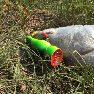 เหยื่อปลอมตกปลา​ป็อปเปอร์​ UNC LURE 3ขนาด​ VP-0018
