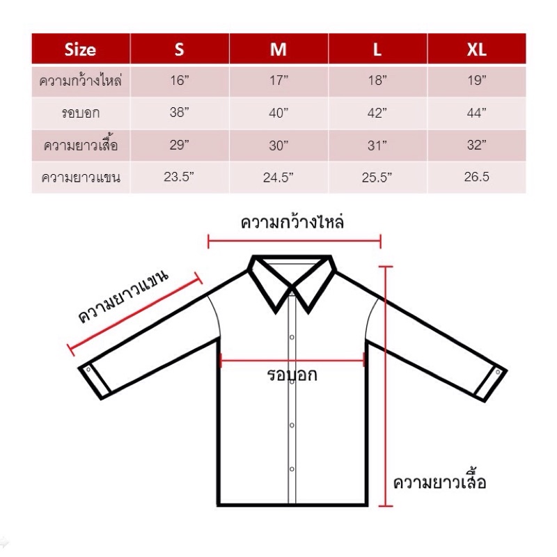 RED WINE OXFORD SHIRT  เสื้อเชิ้ต คอปก สีแดง - รูปที่ 3