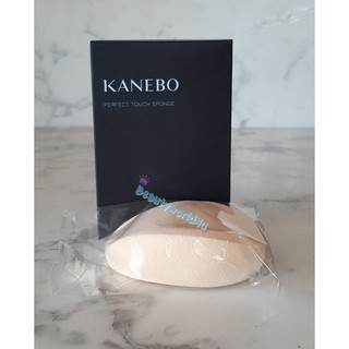 KANEBO PERFECT TOUCH SPONGE  ฟองน้ำ หลังเต่า คาเนโบ้