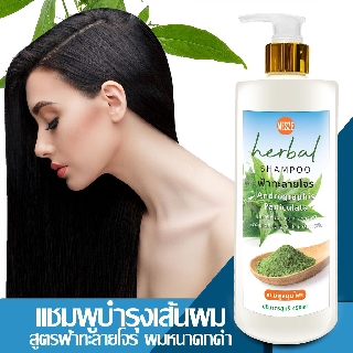 MESZE Shampoo แชมพู สูตรฟ้าทลายโจร ขนาด 450ml ยาสระผม สมุนไพรแท้ ธรรมชาติ ไม่ใส่สารกันเสีย พาราเบน ซิลิโคน SLS SLES