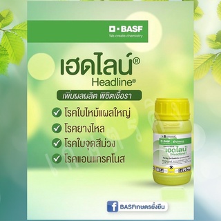 เฮดไลน์ พราโคลสโตรบิน (pyraclostrobin) - ยาเชื้อรา ใบลาย โรคยางไหล โรคใบจุดสีม่วง แอนแทรคโนส โรคใบไหม้แผลใหญ่