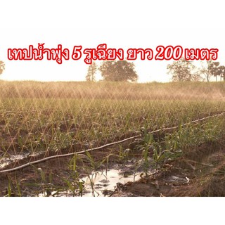 เทปน้ำพุ่ง 1 นิ้ว 5 รู ยาว 200 เมตร ตัวหนา เคลือบกัน UV