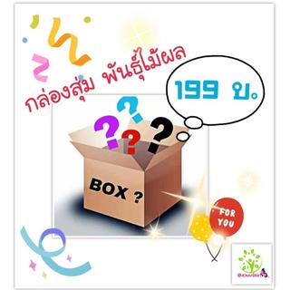 กล่องสุ่มพันธุ์ไม้ผล 199 ได้ลุ้น คุ้มราคา คัดพันธุ์แข็งแรง เขียนชื่อให้ทุกต้นคะ