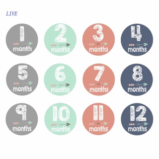 LIVE for Creative DIY 0-12 Month Baby "My First Year" Picture Display Paper Photo Cards