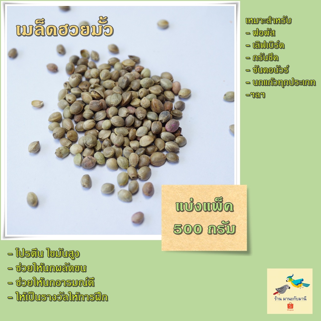 ฮวยมั้วเกรด A สำหรับนกแก้ว,นกพารากีต ( แบ่ง500กรัม )