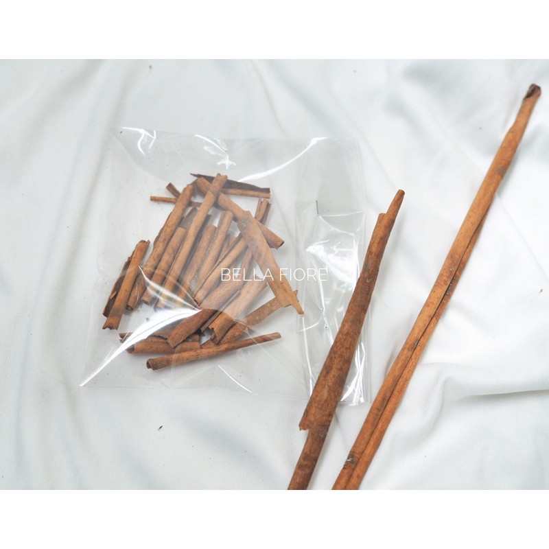 ดอกไม้แห้ง ก้านอบเฉย cinnamon หรือก้านอบเฉย พร้อมส่ง