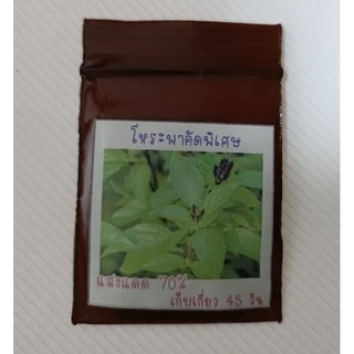 500 เมล็ด เมล็ดพันธุ์โหระพาคัดพิเศษ โหระพา
