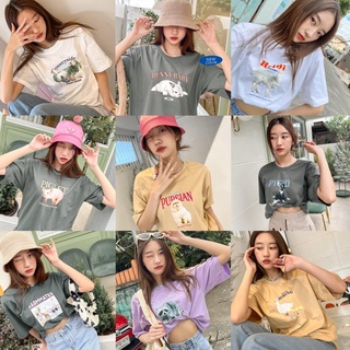 (oversize summer) เสื้อยืด เสื้อโอเวอร์ไซส์ รุ่น comfy  - Farm Buddies (พร้อมส่ง)