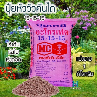 ปุ๋ยสูตรเสมอ ตราหัววัวคันไถ ปุ๋ยเต็มสูตร 15-15-15 เร่งการเจริญเติบโตของพืช ปุ๋ยเร่งดอก ผล ใส่ผัก ผลไม้ ไม้ดอกไม้ประดับ