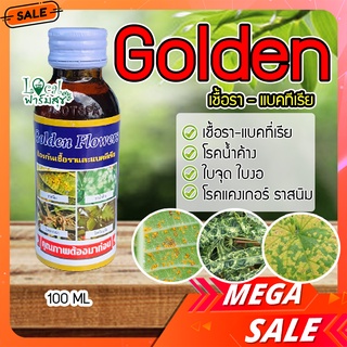 โกลเด้น Golden กำจัดโรคน้ำค้าง เชื้อรา-แบคที่เรีย ใบจุด ใบงอ ราสนิม โรคแคงเกอร์  ปุ๋ยน้ำ กำจัดแมลง 100 ML.