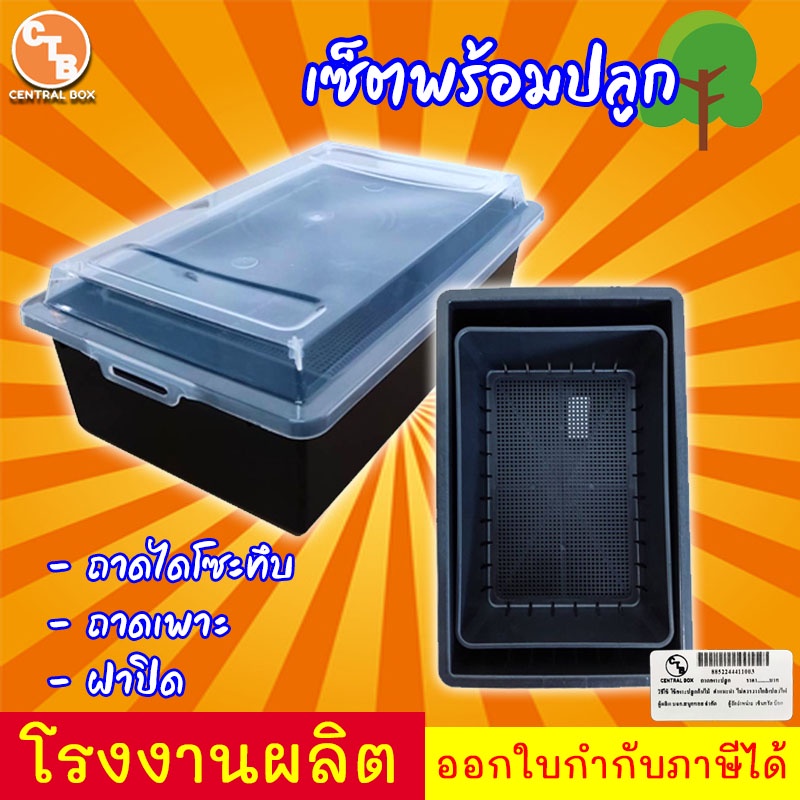 ถาดไดโซะ ถาดปลูกต้นไม้ กล่องอบต้นไม้ เร่งราก อบราก เซ็ตพร้อมปลูก มีของพร้อมส่ง!!!