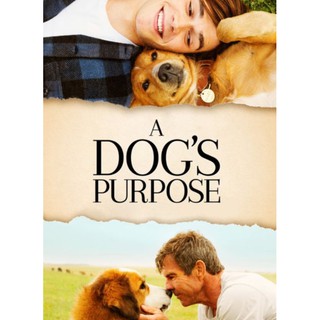 หมา เป้าหมาย และเด็กชายของผม A Dogs Purpose : 2017 #หนังฝรั่ง (ดูพากย์ไทยได้-ซับไทยได้)