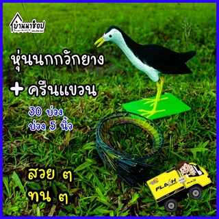 ชุดต่อนกกวัก หุ่นนกกวักยาง+ครืนแขวน 30 บ่วง ดักนกกวัก ดักนกไก่นา