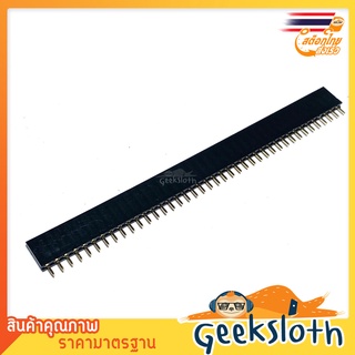 Female Pin Header Dip Straight Single Row 1X40PIN