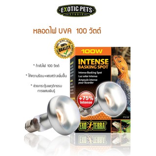 Exo Terra Intense Basking Spot หลอดไฟยูวีเอ 100W