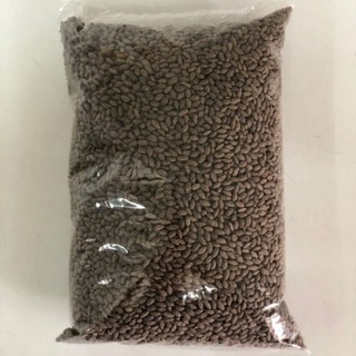 Cocoa Plain Bubble Rice 500g