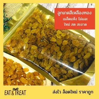 ลูกเกดสีเหลืองทอง (Golden Raisins) เม็ดสวย แห้ง ไม่แฉะ สดใหม่