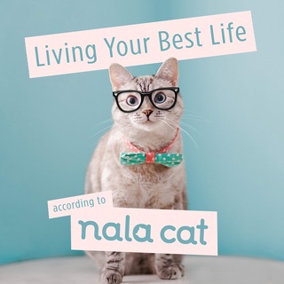 (New) Living Your Best Life According to Nala Cat (Bala Cat) พร้อมส่ง