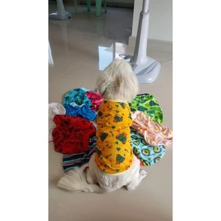 เสื้อน้องหมาจ้า เบอร์ 0 มีหลายลายนะคะ
