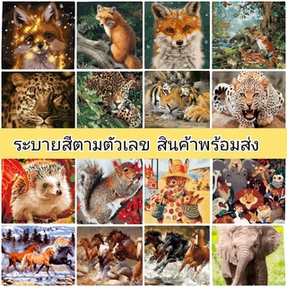 ภาพระบายสีตามตัวเลข ขนาด 40×50 ซม. ขึงเฟรมไม้พร้อมอุปกรณ์