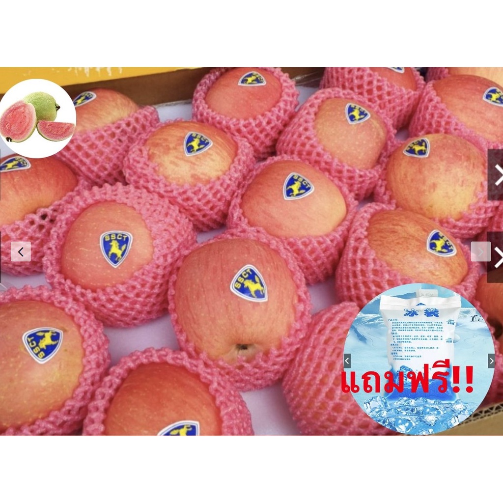 Guava top1แอปเปิ้ลฟูจิ (ยกลัง28ลูก/ไซส์JUMBO) Fuji Apple (CHN) ~ลดพิเศษ~ ผลไม้สด แอปเปิ้ลสด ผลไม้ต่า