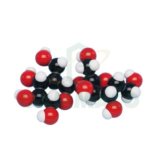 แบบจำลองโมเลกุล Sucrose 1 Molecule [30MKS116]