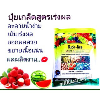 ปุ๋ยเกล็ด ปุ๋ยเร่งดอก เร่งผล โนว่าโกร สูตร 11-0-43 1kg. เร่งดอก เร่งหัว เพิ่มแป้ง เพิ่มความหวาน เพิ่มขนาด เร่งออกรวงข้าว