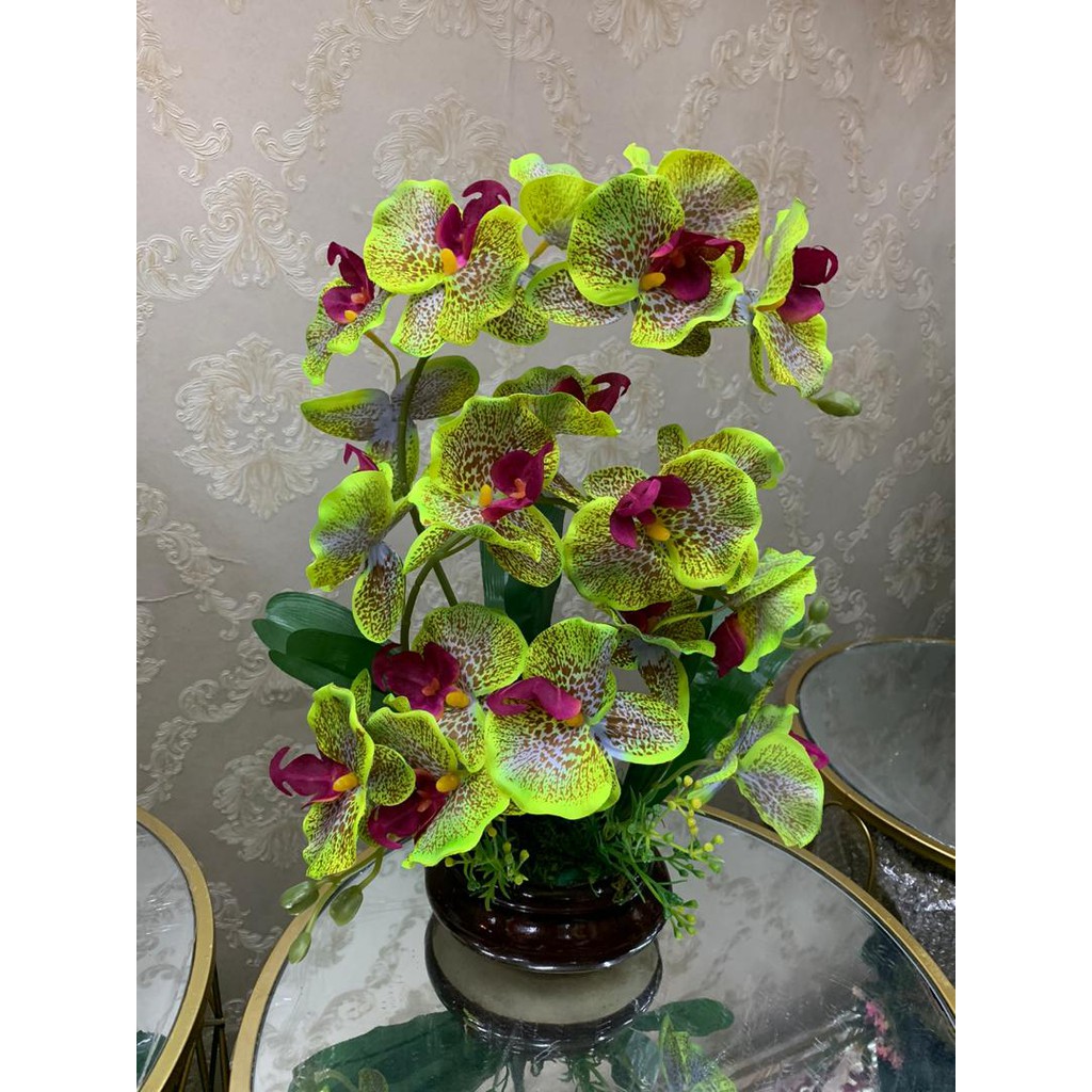 Orkid sip gubah / กล้วยไม้พร้อมกระถาง B