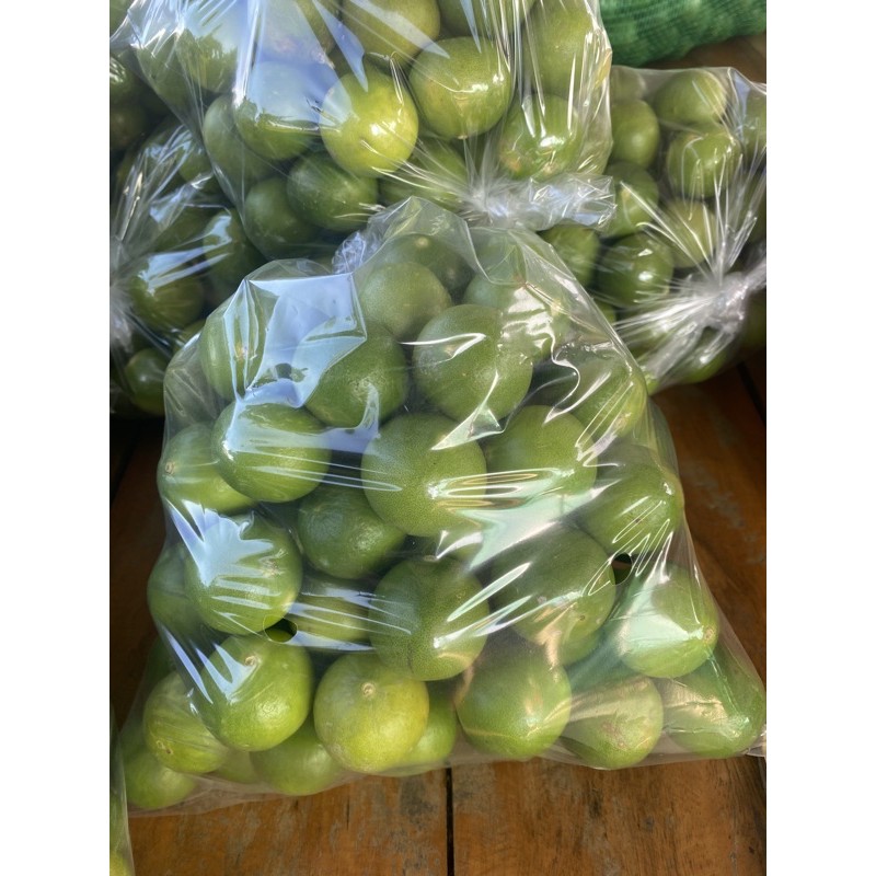 มะนาวแป้นรำไพแท้ได้ (100 ลูก )น้ำดี 🍋  เบอร์ 600