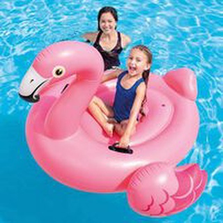 แพนกฟลามิงโก แพเป่าลม  Flamingo แพฟามิโก้  57558 ขนาด: 58 x 58 x 32 นิ้ว (142*137*97 cm)