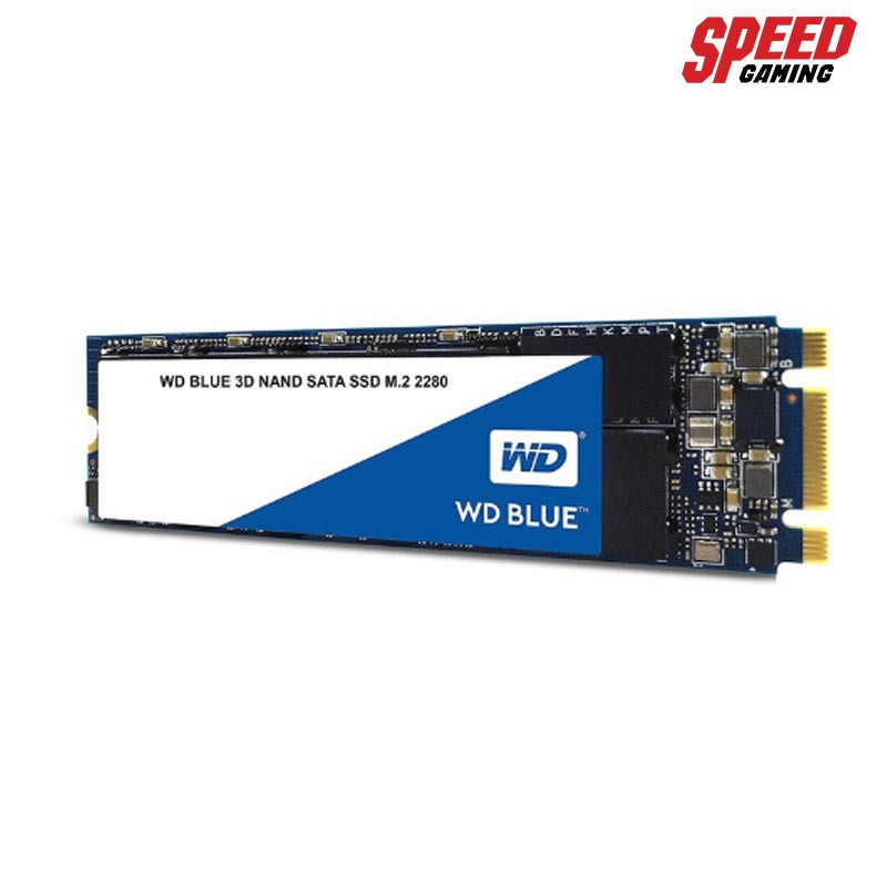 WD WDSSD250GB HARDDISK  SSD BLUE/250GB M.2/SATA3(6GB/s)/R 550Mb/W 525Mb/s(เอสเอสดี) SPEED GAMING