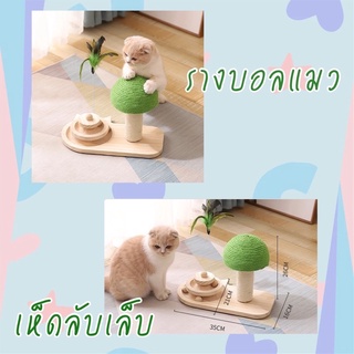 รางบอลแมว 3 in 1 ของเล่นแมว รางบอล ที่ลับเล็บหัวเห็ด ลับเล็บแมว รางบอลแมว😸😸