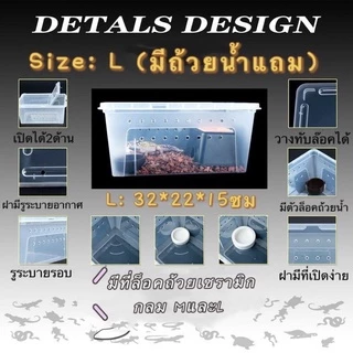 Reptile Box กล่องเลี้ยงสัตว์เล็ก สัตว์เลื้อยคลาน สัตว์เล็ก ผสมพันธุ์สดกล่อง สำหรับ แมงมุม ตุ๊กแก ฮอร์นฟรอก ตะขาบ แมงป่อง