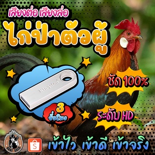 เสียงไก่ป่าตัวผู้​ เสียงต่อไก่​ล่อไก่ แฟลชไดร์ฟเสียงไก่ป่าตัวผู้​ ชัด เสียงใส ไม่มีโฆษณาแทรก พร้อมส่ง! มีเก็บเงินปลายทาง