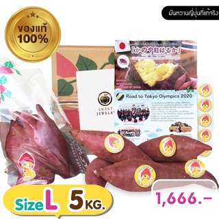 พร้อมส่งจ้า🍠🇯🇵มันหวานญี่ปุ่น แท้นำเข้า พันธุ์เบนิ Beni Haruka 5KG [Size L][Japanese Sweet Potato]มันหวาน มันหวานญี่ปุ่น