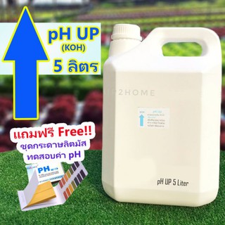 pH​ Up น้ำยาเพิ่มค่าพีเอช​ 5ลิตร (โพแทสเซียมไฮดรอกไซด์ KOH) แถมฟรีกระดาษลิตมัสวัดค่า pH 1เล่ม