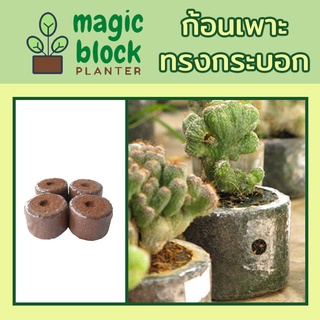 Magicblock ก7.5 ก้อนเพาะปลูกมหัสจรรย์ทรงกลม ขนาด กว้าง 7.5 x สูง 5 ซม