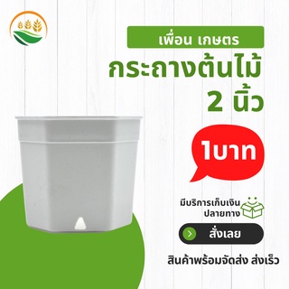 กระถางต้นไม้มินิมอล
 กระถางพลาสติก กระถางต้นไม้พลาสติก
 กระถาง 8 เหลี่ยม 2 นิ้ว สีขาว