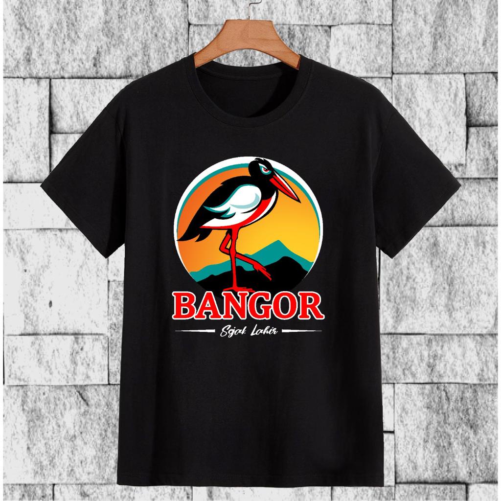 Mens Distro เสื้อยืดผู้ชายเสื้อยืดชายเสื้อยืด KECAP BANGOR BF - DTF074