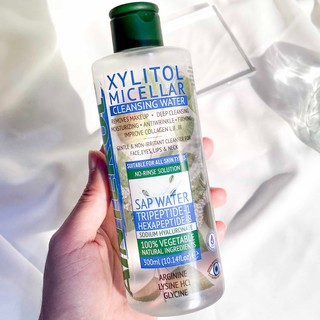 AINTEROL Xylitol Micellar Cleansing Water 300 ml