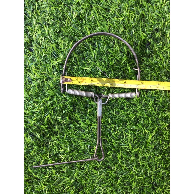 รูปภาพ 3