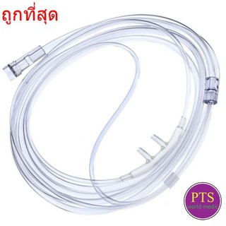 Oxygen Nasal Cannula สาย Oxygen ทางจมูก สำหรับผู้ใหญ่ ยี่ห้อ Westmed (1 เส้น)