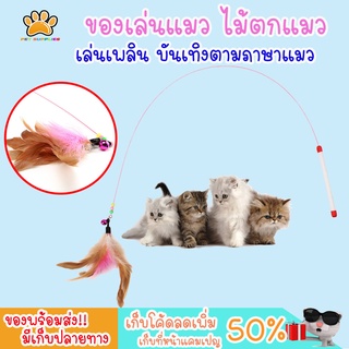 [พร้อมส่ง!!!] ของเล่นแมว ไม้ตกแมว แบบสปริง ไม้ล่อแมว ไม้ของเล่นแมว