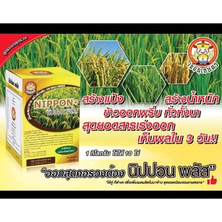 นิปปอนพลัส ปุ๋ยเกล็ด สูตรพิเศษ ข้าวออกพรึบ ออกสุดรวง เมล็ดเต่งใส น้ำหนักดี ( ขนาด 1 กิโลกรัม) อั