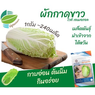 ผักกาดขาว (Chinese​ Cabbage​)​